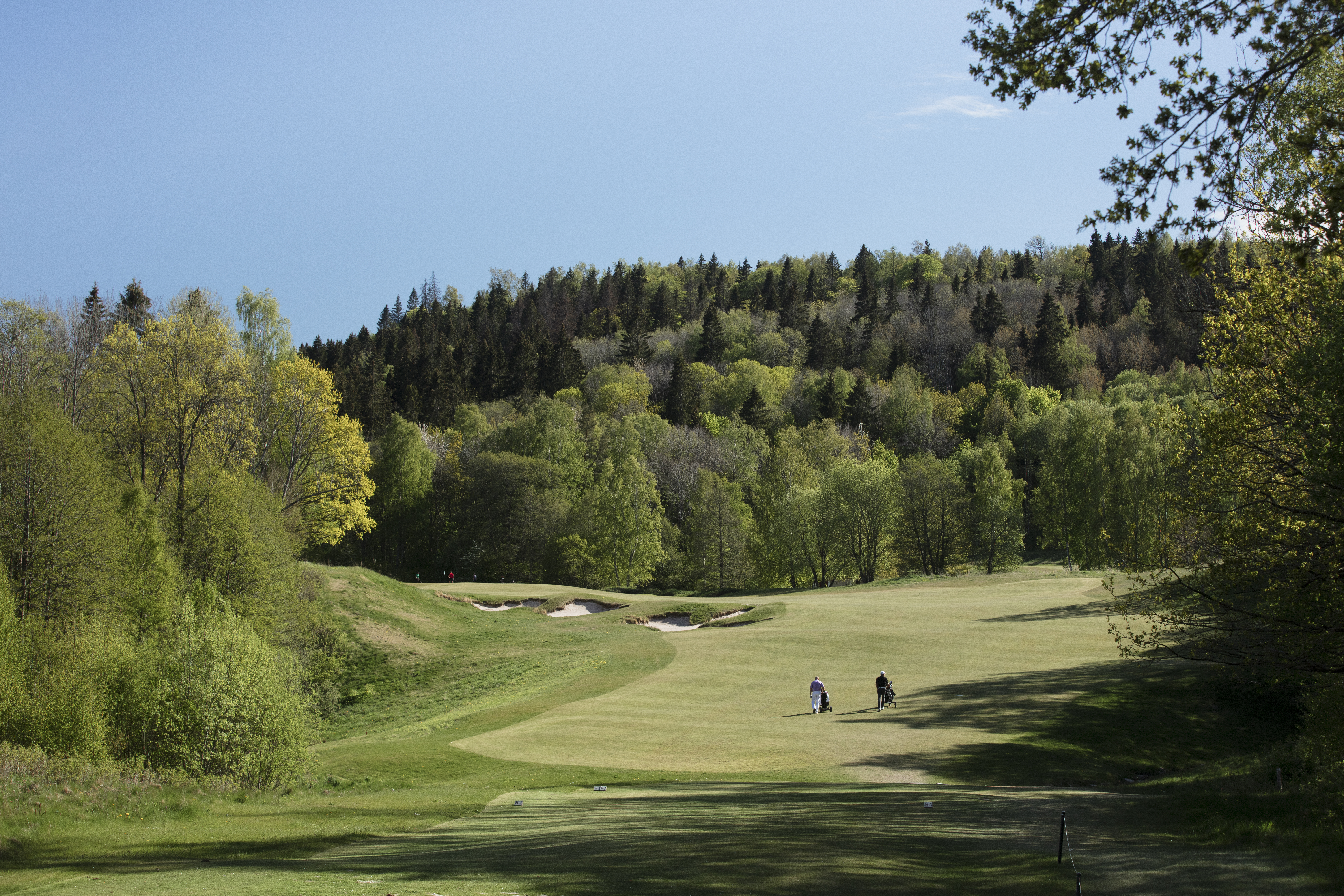 Skövde GK Medlem Arkitektens Buckla